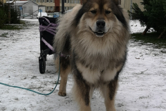 Akio
