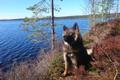 Månadens Bild juli 2017