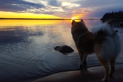 Månadens Bild augusti 2017