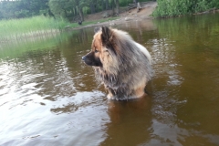 Månadens Bild juli 2018
