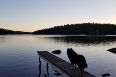 Månadens Bild augusti 2018