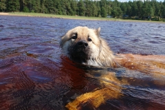 Månadens Bild september 2018