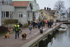Månadens bild februari 2019