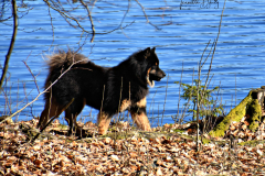 Månadens bild april 2019