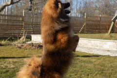 Månadens bild maj 2020