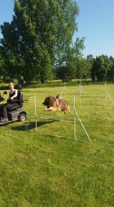 Agility