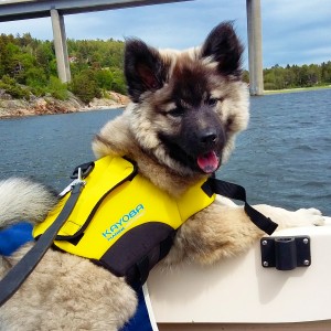 Båtliv